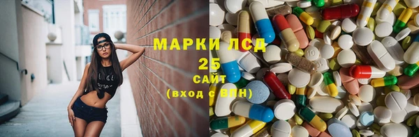 шишки Дмитров