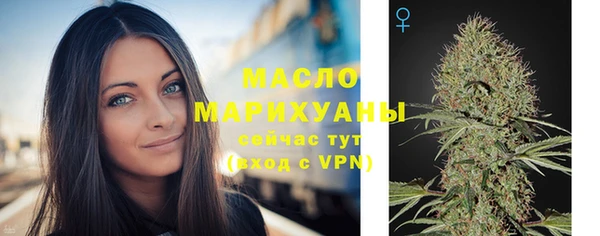 шишки Дмитриев