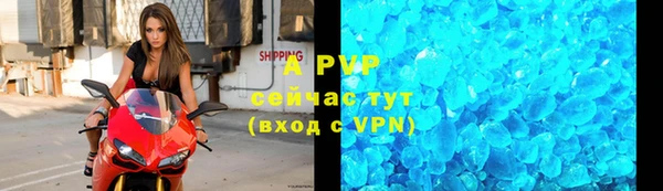 шишки Дмитриев