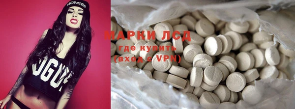 шишки Дмитров