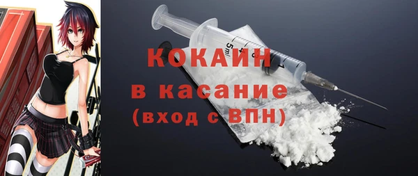 шишки Дмитриев