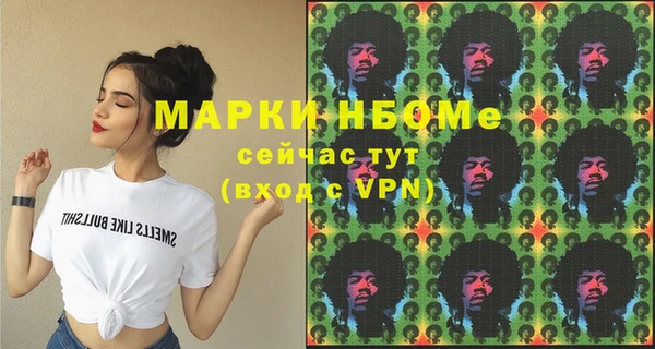 шишки Дмитриев