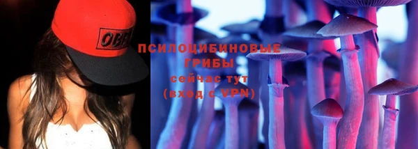 шишки Дмитров