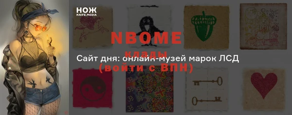 шишки Дмитров