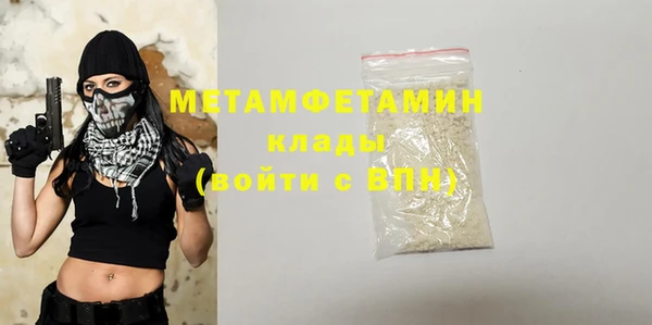шишки Дмитриев