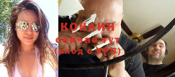 шишки Дмитриев